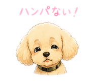 844141558