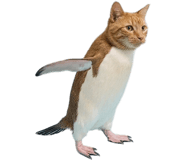 844141977