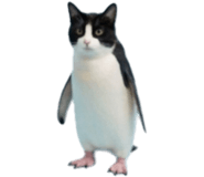 844141980