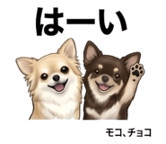 844142593