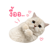 844146535