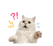 844146538