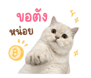 844146541