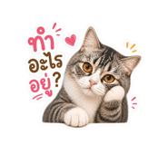 844146576
