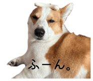 844147066