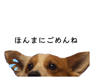 844147069