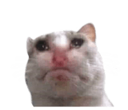 844147281