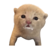 844147282