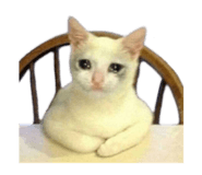 844147288