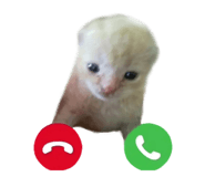 844147295