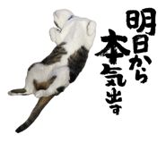 844147506