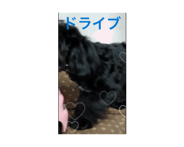 844147634