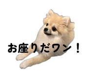 844148585