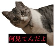 844148833