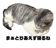 844148834