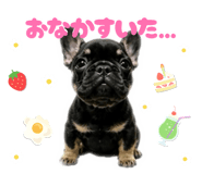 844149465