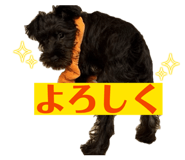 844149619