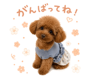 844149696