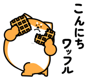 844150354
