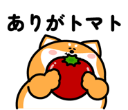 844150361