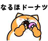 844150376