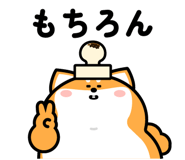844150381