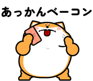 844150382