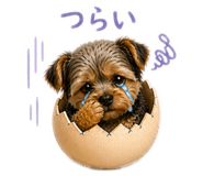 844150461