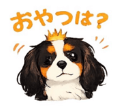 844151099