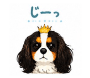844151118