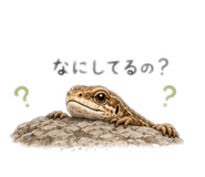 844151426