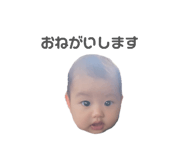 844151462