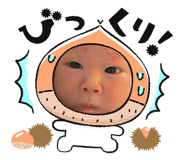 844151528