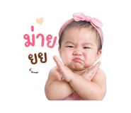 844152016
