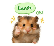 844152630