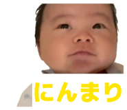844153456