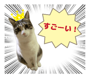 844153520