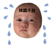 844153629