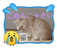 844153670
