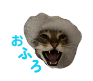 844154421