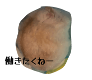 844154441