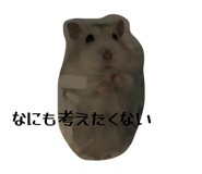 844154442
