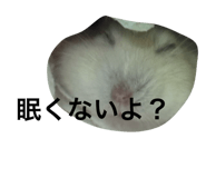 844154443