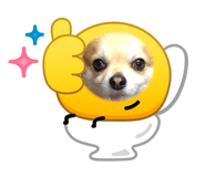 844154507