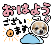 844154519