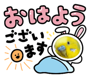 844154857