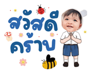 844155113