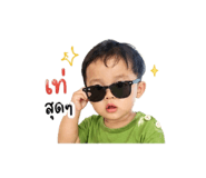 844155224