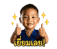 844155273