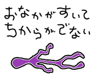 844155548